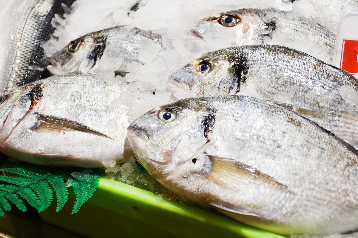 5 consejos Para Comprar pescado fresco